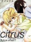 citrus-saburouta-39256