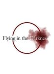 flying-in-the-darkness-74123