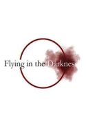 flying-in-the-darkness-74123