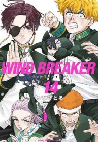 wind-breaker-238443